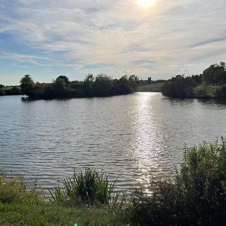 Confortable Ville A Deux Pas De Toulouse Tournefeuille Buitenkant foto