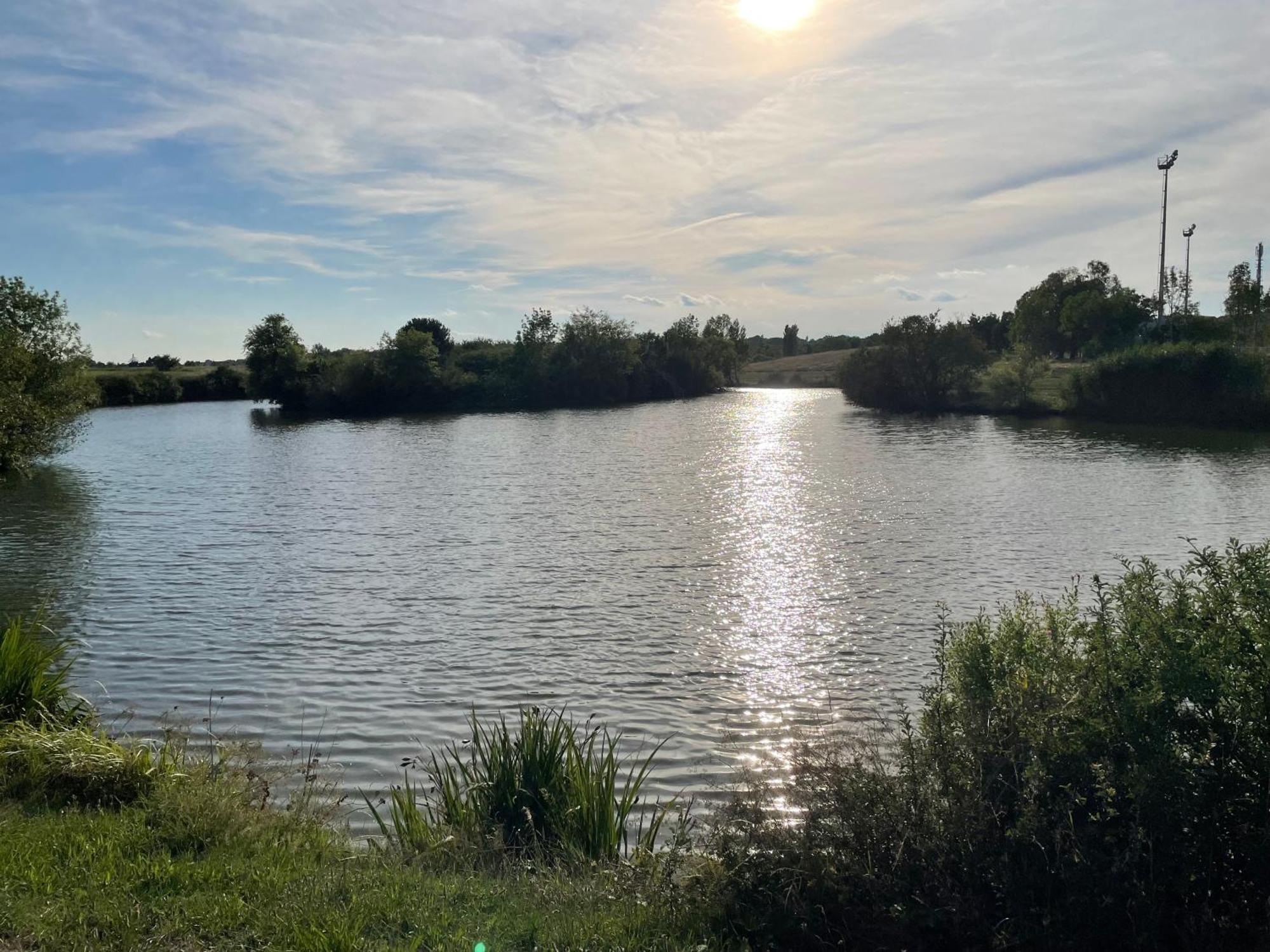 Confortable Ville A Deux Pas De Toulouse Tournefeuille Buitenkant foto